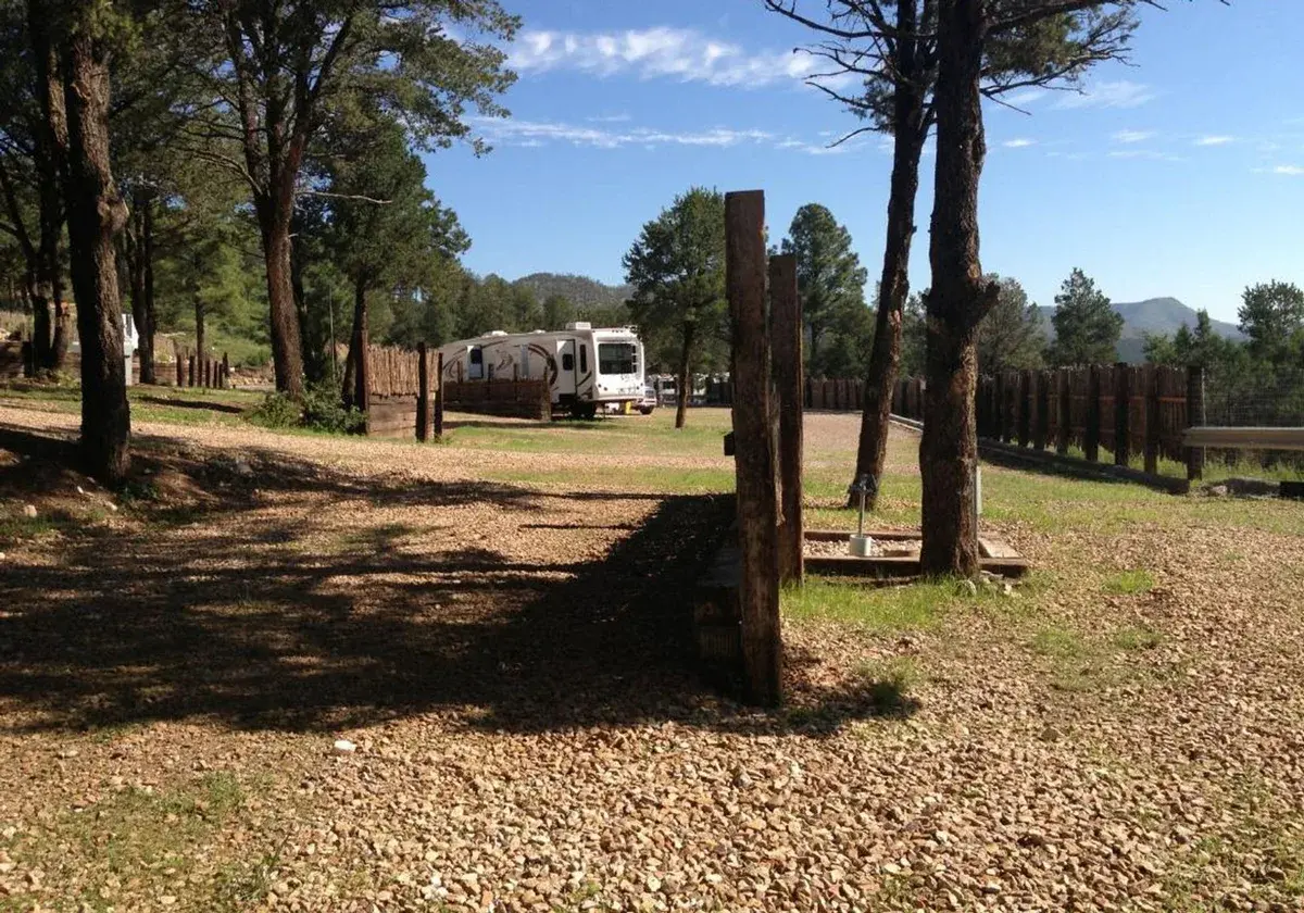 An occupied gravel RV site beneath tall pines