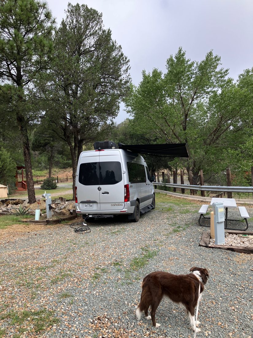 A guest dog on a leash beside a camper van at a gravel site